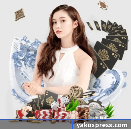 星空网官网登录入口 APP